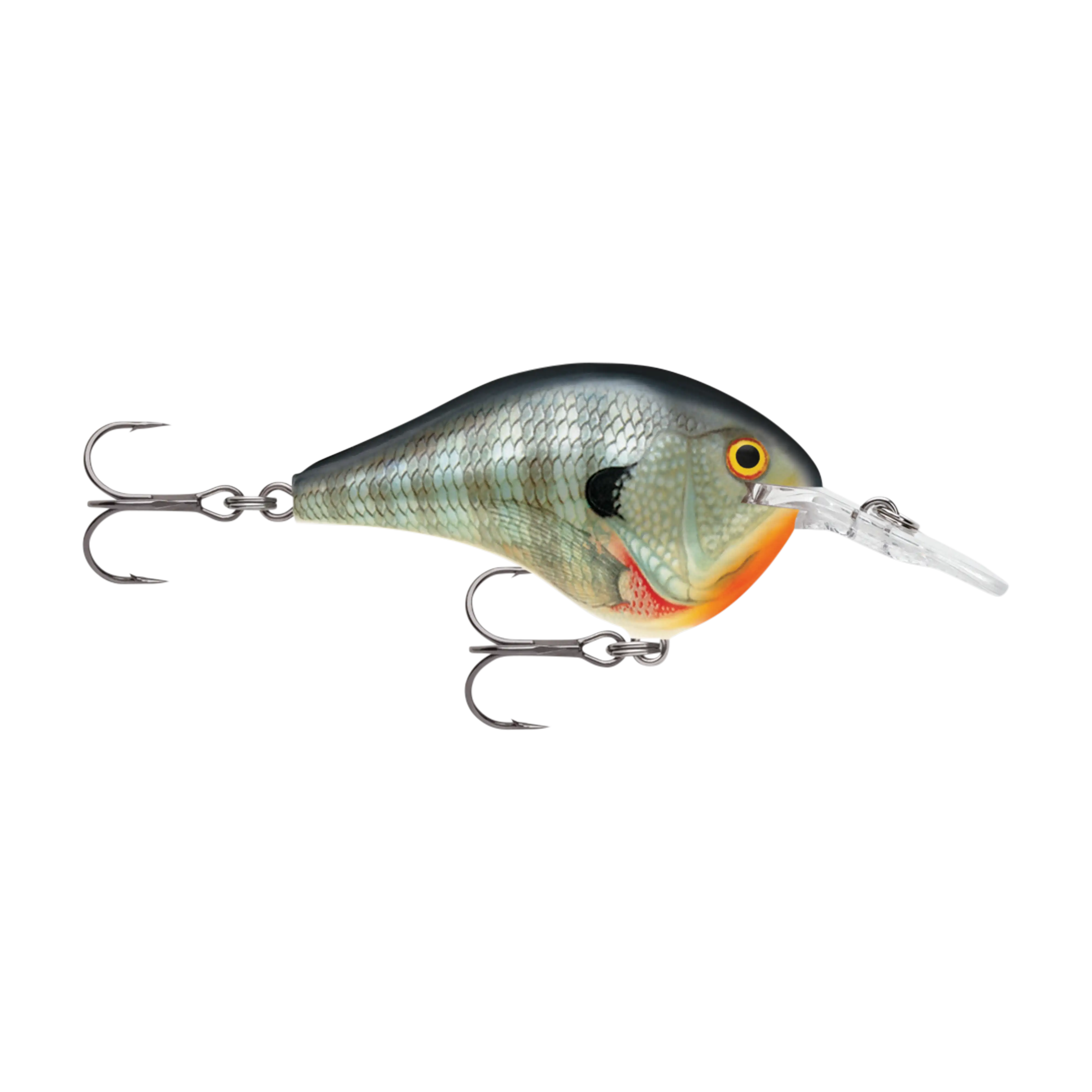 Rapala DT8 Series Crankbaits - Image 5