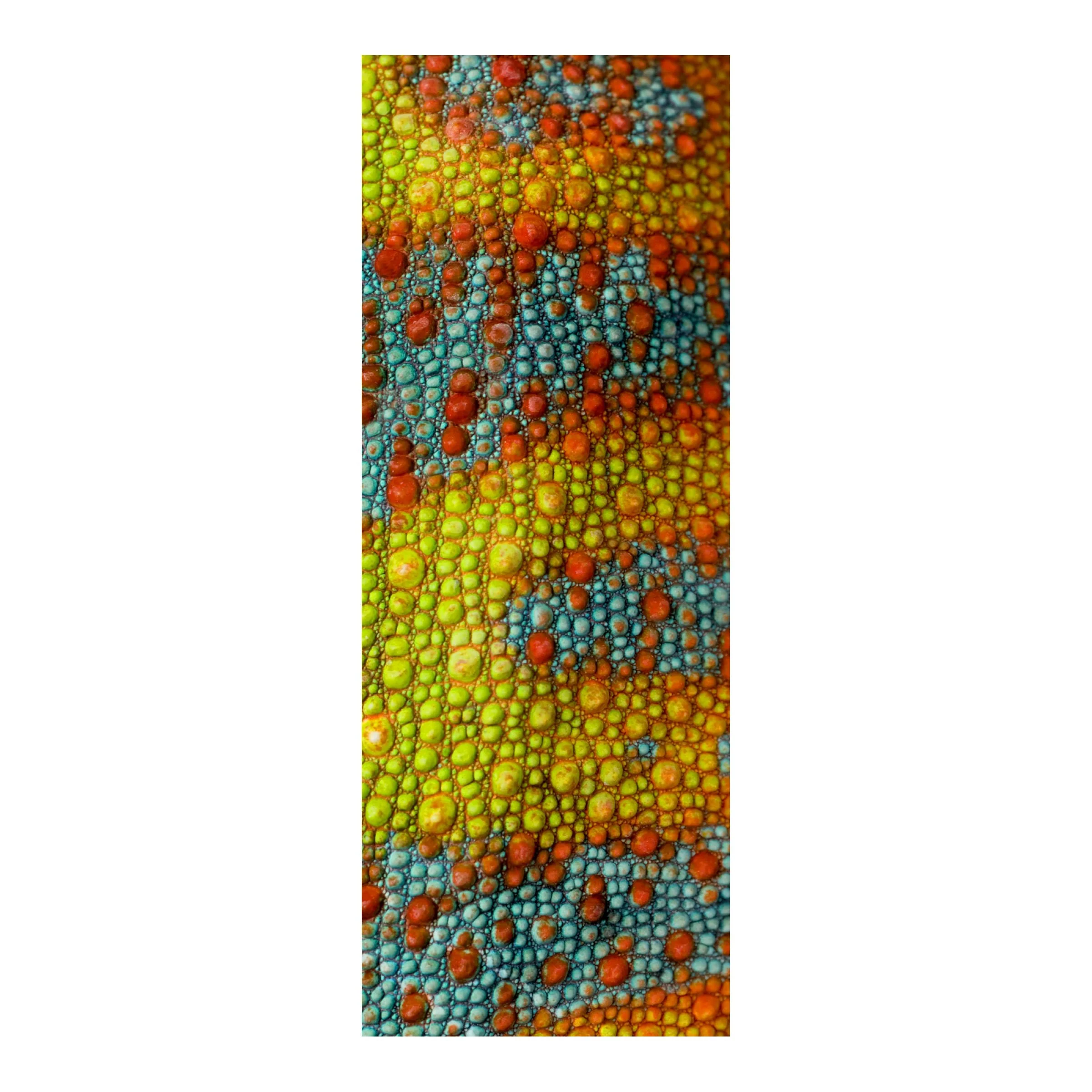 Mud Hole Rod Skinz Decorative Rod Wraps - Original - Image 39