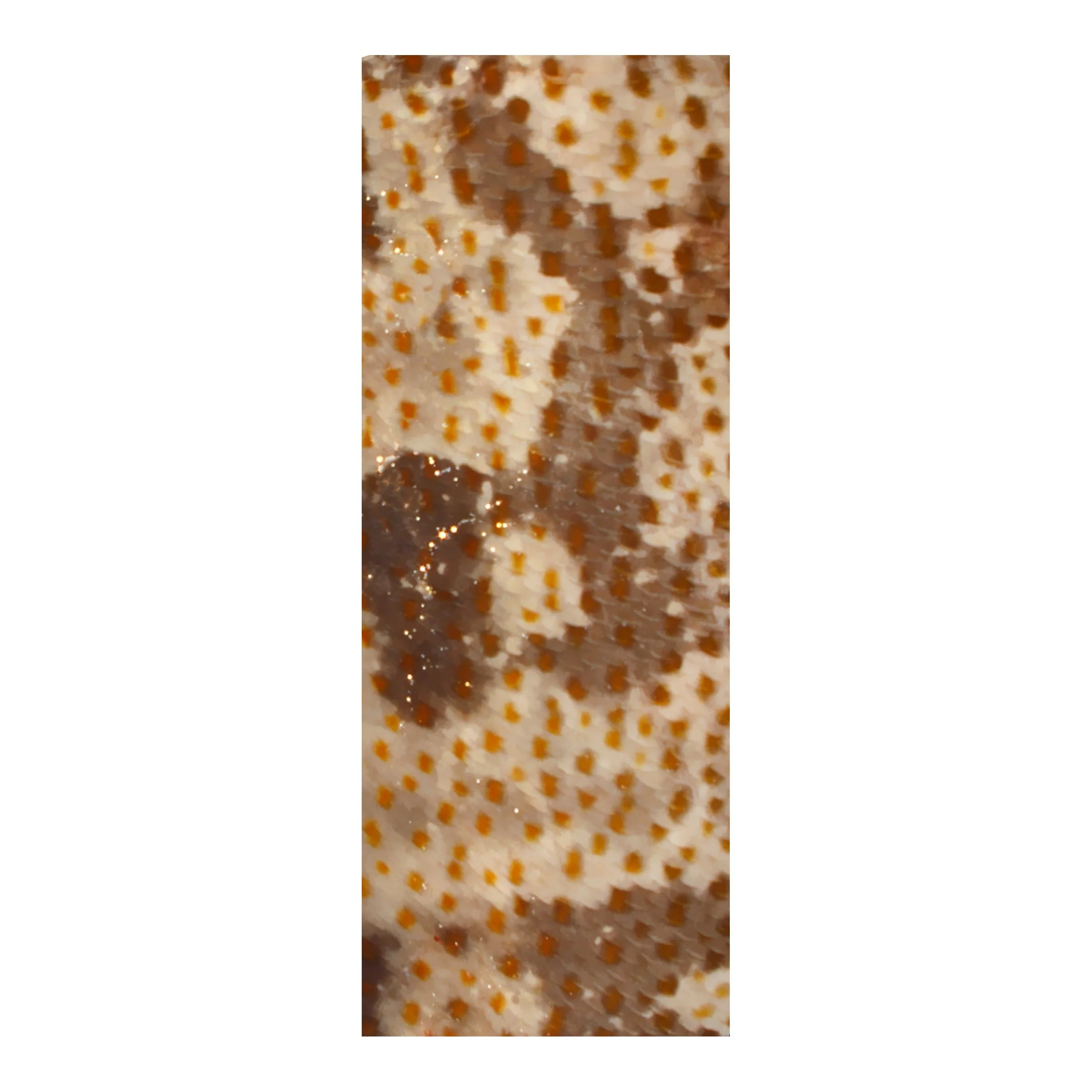 Mud Hole Rod Skinz Decorative Rod Wraps - Original - Image 40