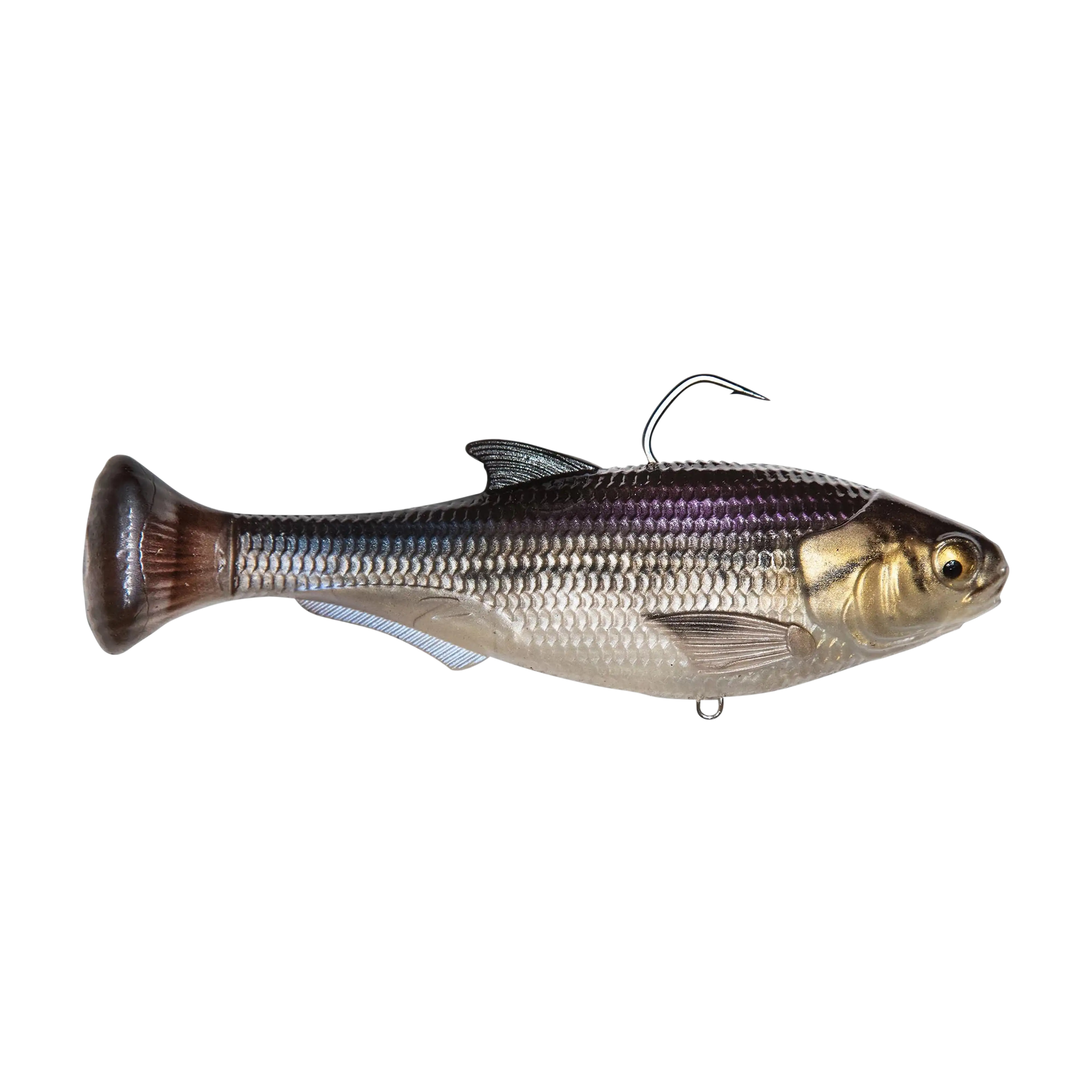Z-Man Shadtron LT Swimbait - Image 3