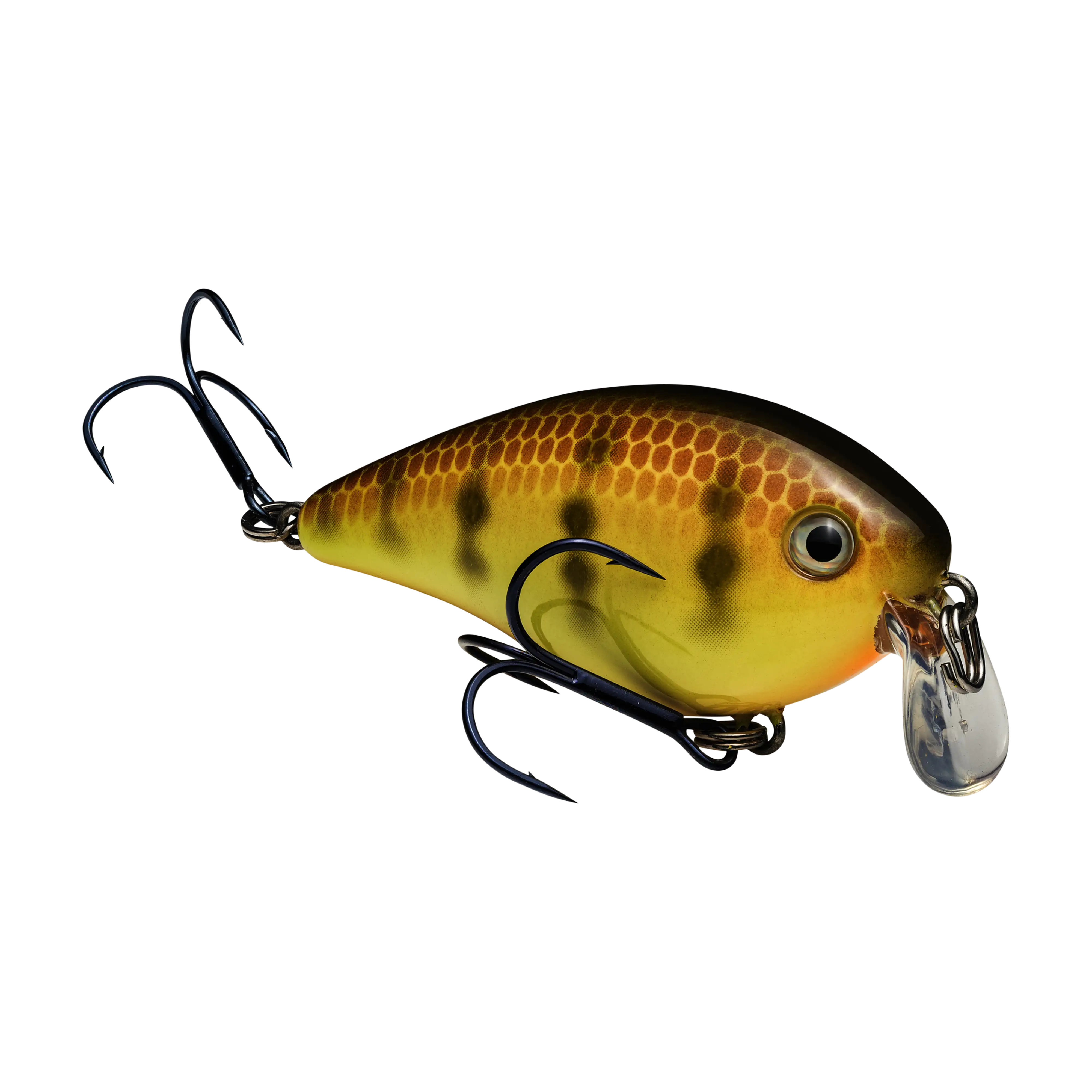 Strike King KVD Squarebill 1.5 Shallow Crankbaits - Image 4