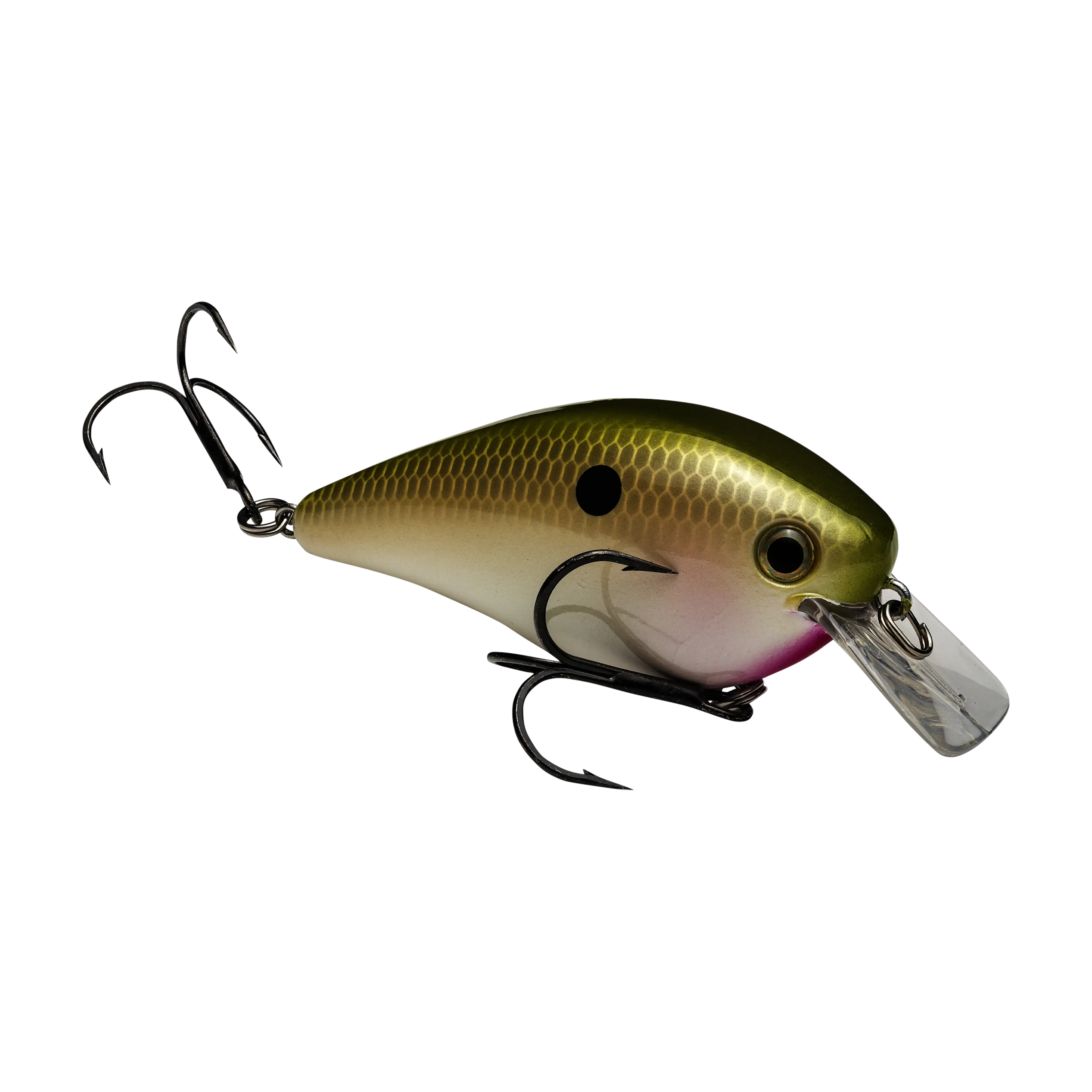 Strike King KVD Squarebill 2.5 Crankbaits - Image 11