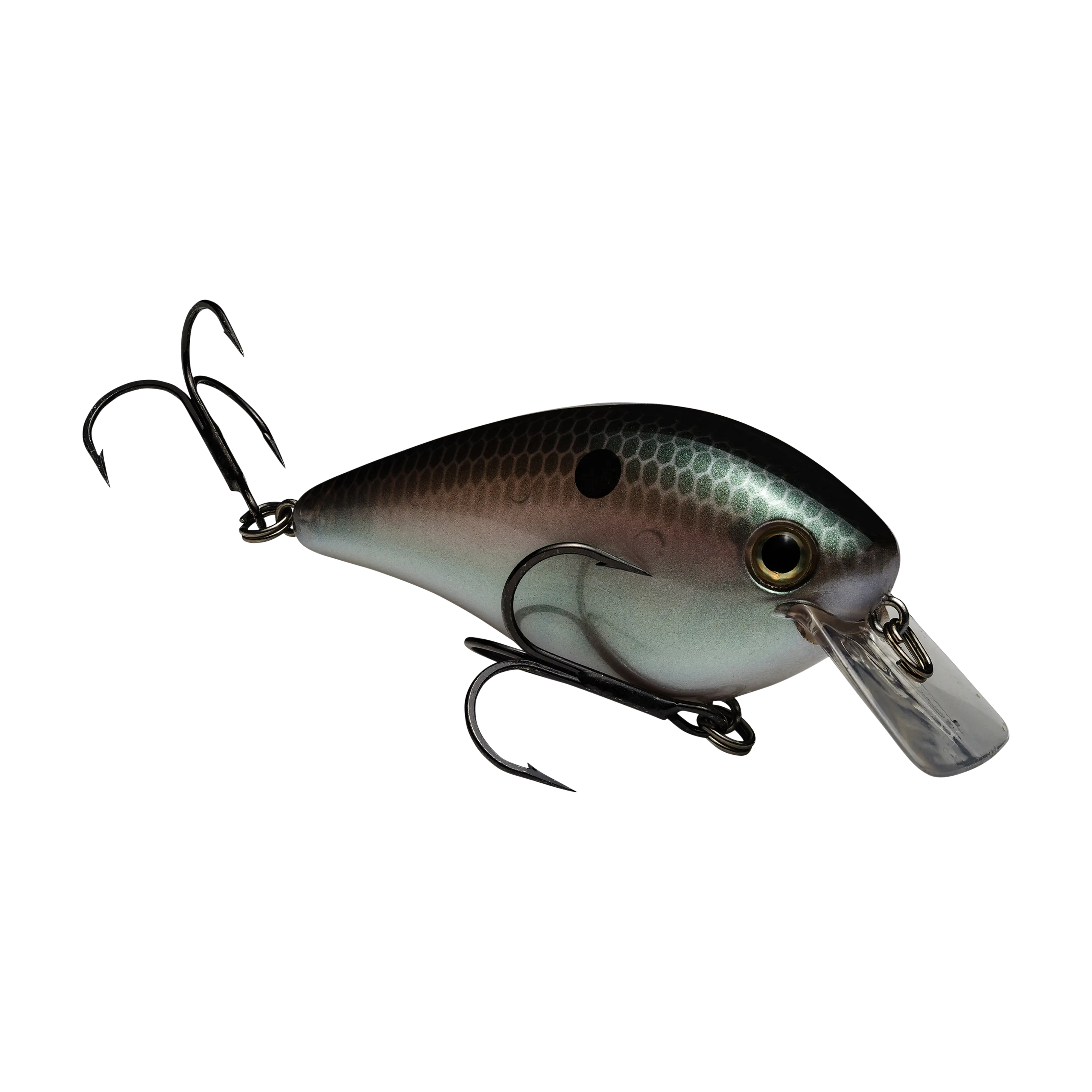 Strike King KVD Squarebill 2.5 Crankbaits - Image 12