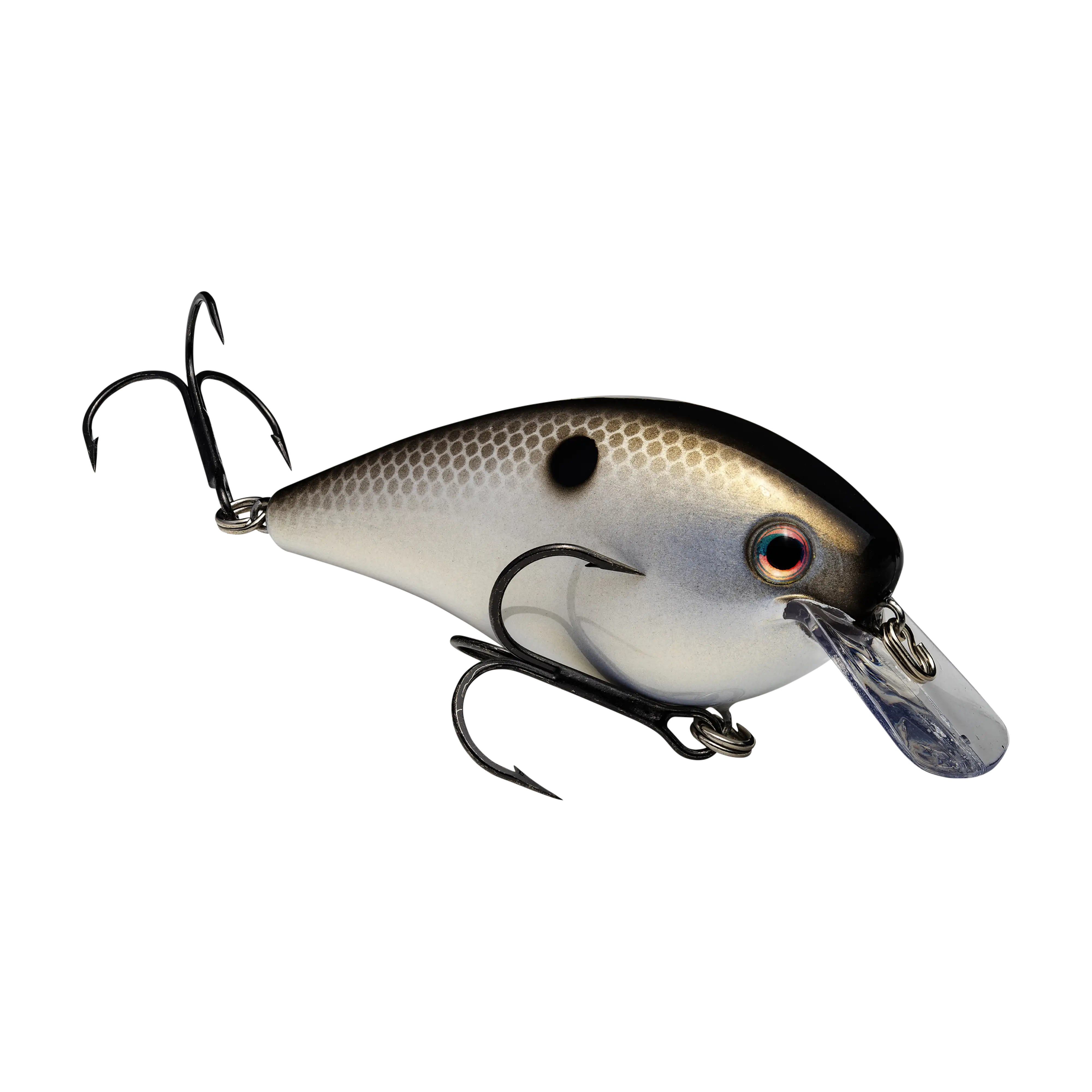 Strike King KVD Squarebill 2.5 Crankbaits - Image 8