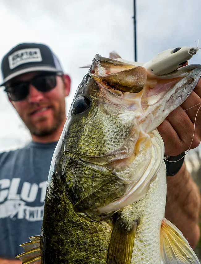 Clutch Eco Glide Bait - 6.25" - Image 5