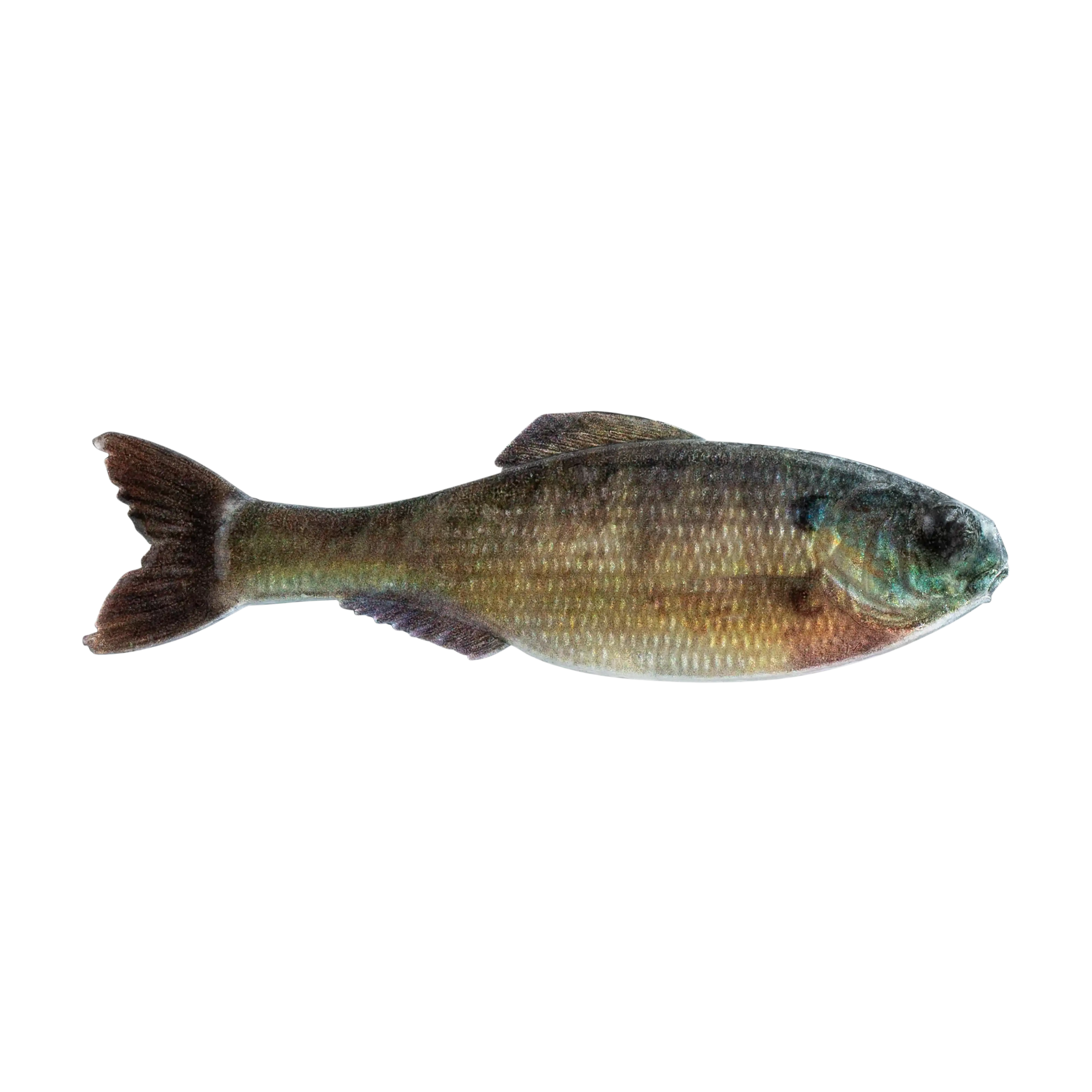 6th Sense The Panorama Swimbait - Image 3