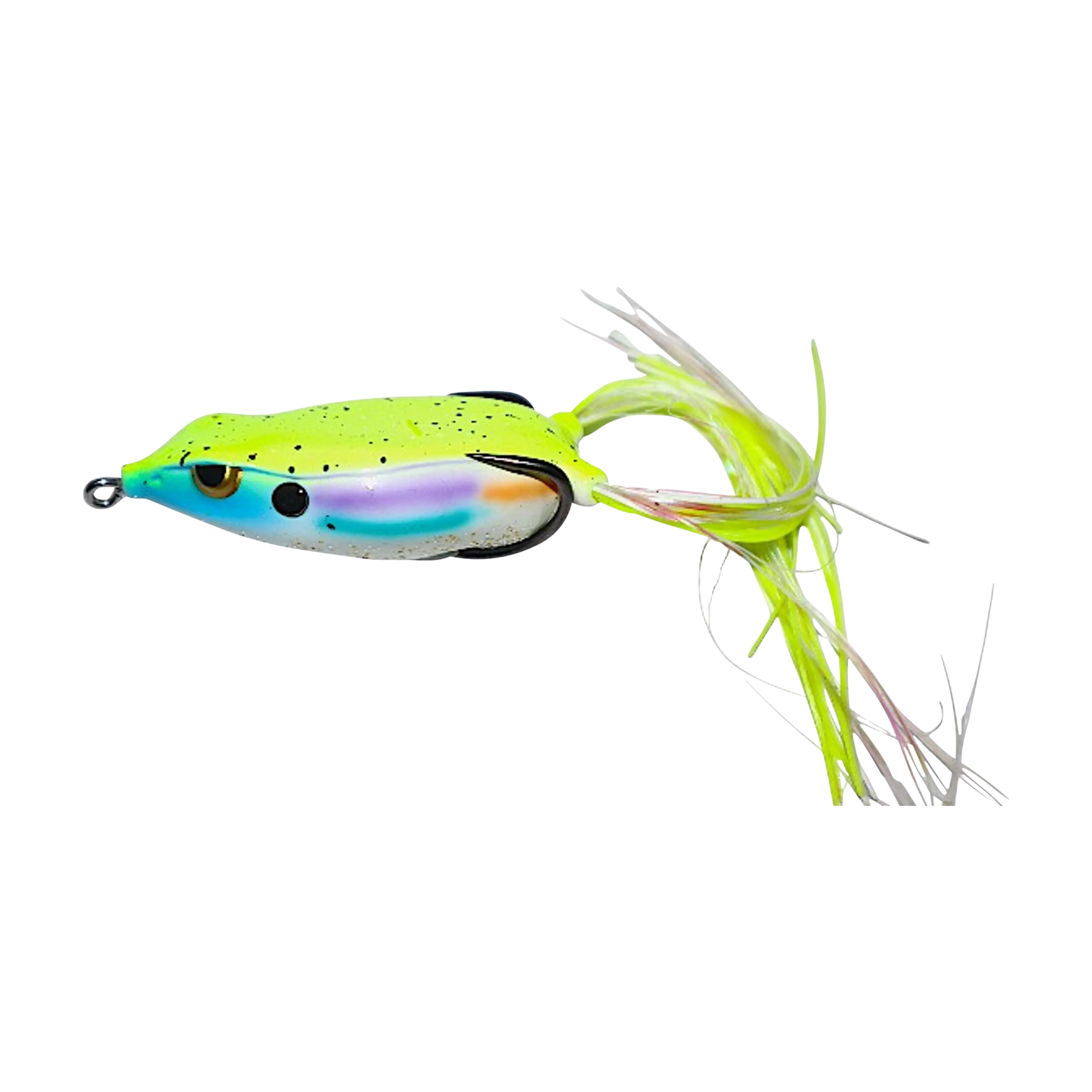 Gambler Walking Frog - Image 2